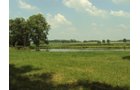 Property photo 10 - 160 Acres Offered in 6 Tracts